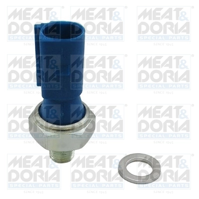 Oil Pressure Switch